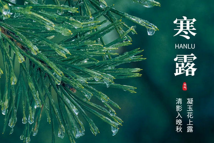 壬寅寒露 | 避寒就温 佑护脾胃
