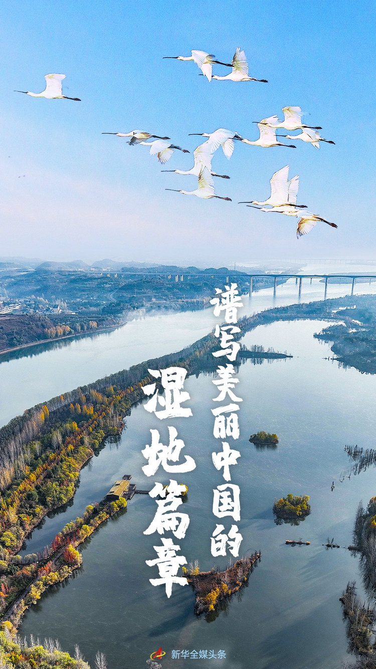 微信图片_20230203103045.jpg