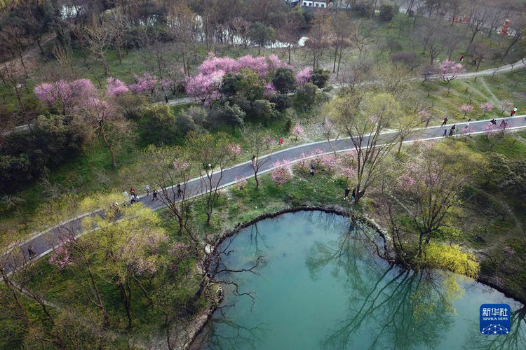微信图片_20230203103101.jpg