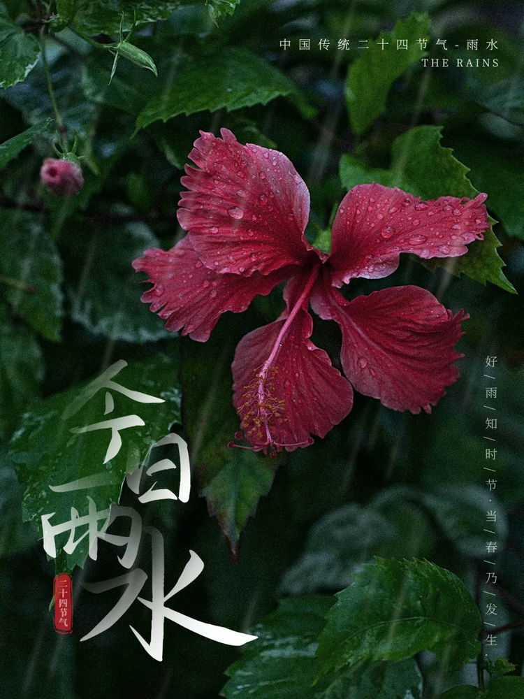 微信图片_20230219102005.jpg