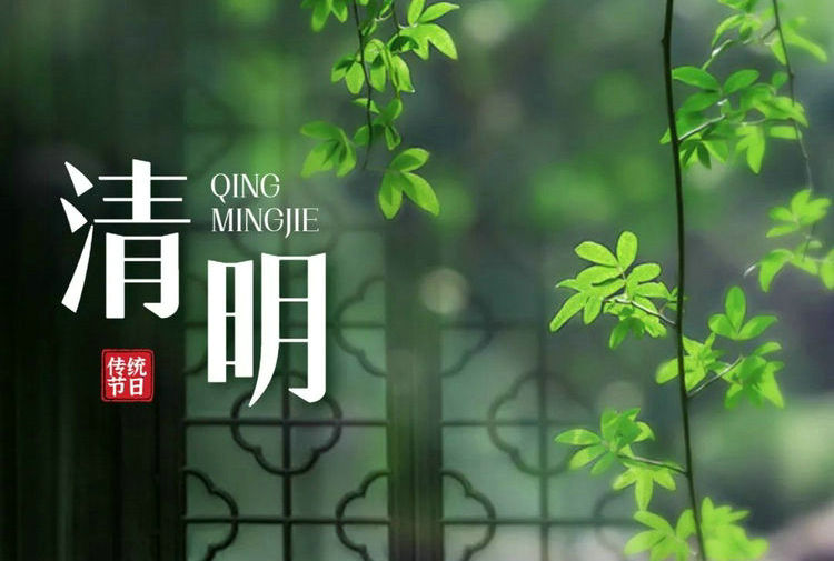 癸卯清明丨先五味调和 祛湿健脾