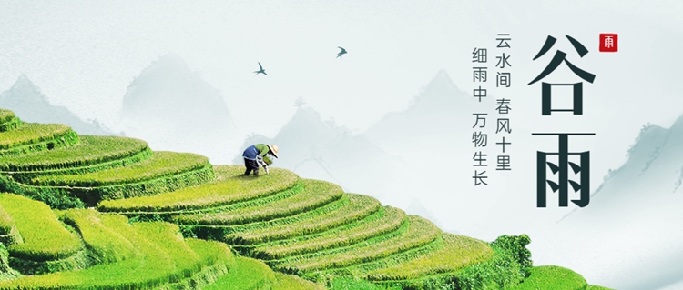 癸卯谷雨 茶灸舒肝 补泻就势