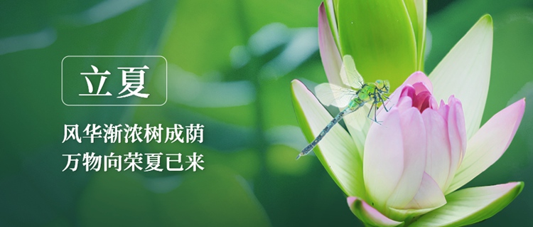 癸卯立夏 万物养长 祛湿健脾，第一健康报道.jpg