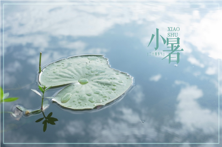 小暑丨上蒸下煮 汤羹消暑