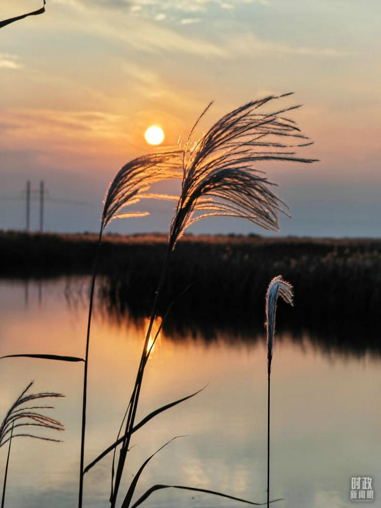 c9e83247-4417-4fae-86c6-bbee24c86df4.jpg