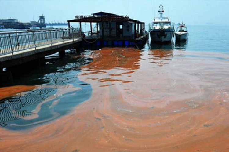 我国管辖海域海水人工放射性核素活度浓度未见异常