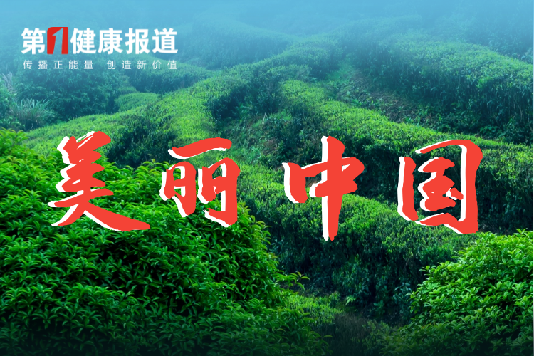 习近平：全面推进美丽中国建设