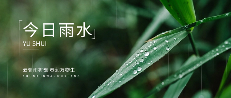 甲辰雨水丨节后冰冻雨雪包围，谨防肝郁脾虚感冒发烧！