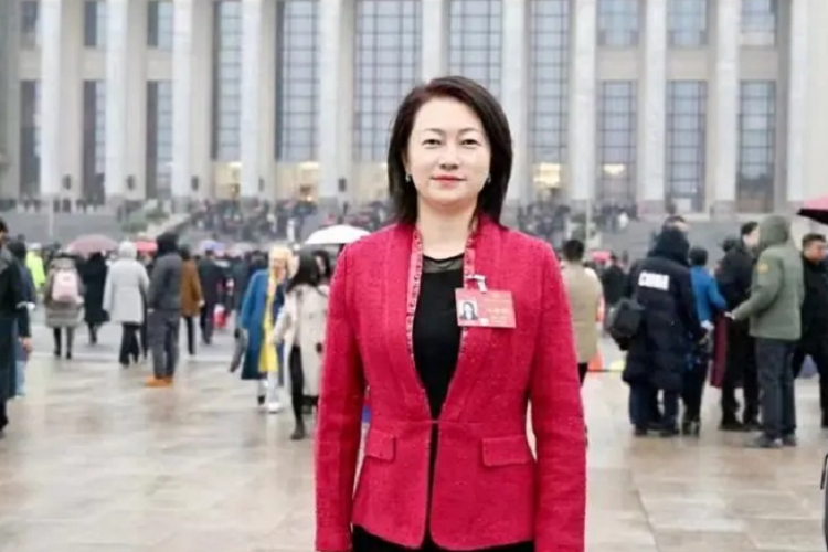 赵菁：关于加强打击“套保”“骗保”现象的建议