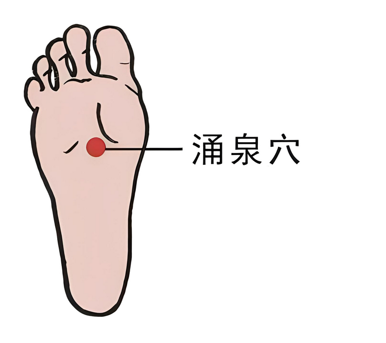 春养16.png