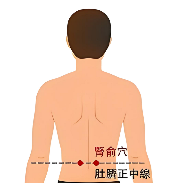 春养17.png