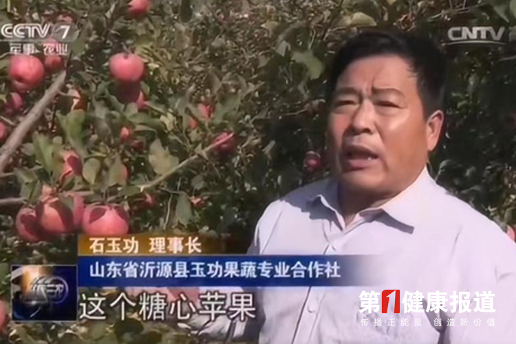 石玉功带领农民走有机农业之路获颁健康宣传大使