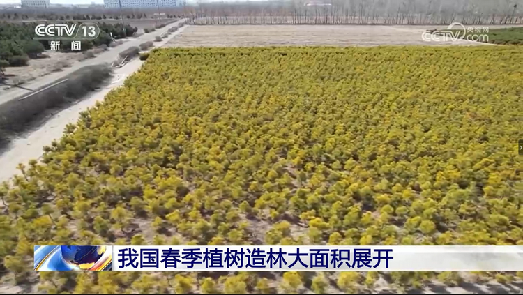 微信截图_20240403111835.png