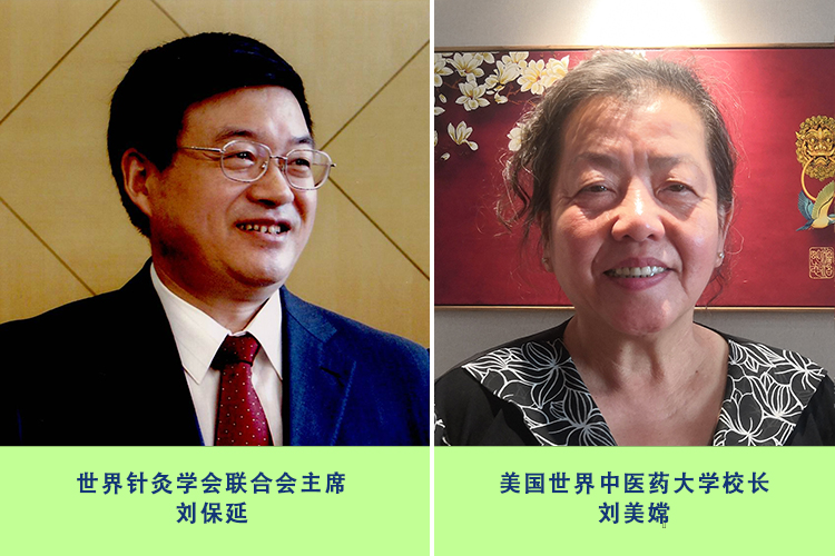 世针联与美中华医药学会连线座谈共促国际中医发展