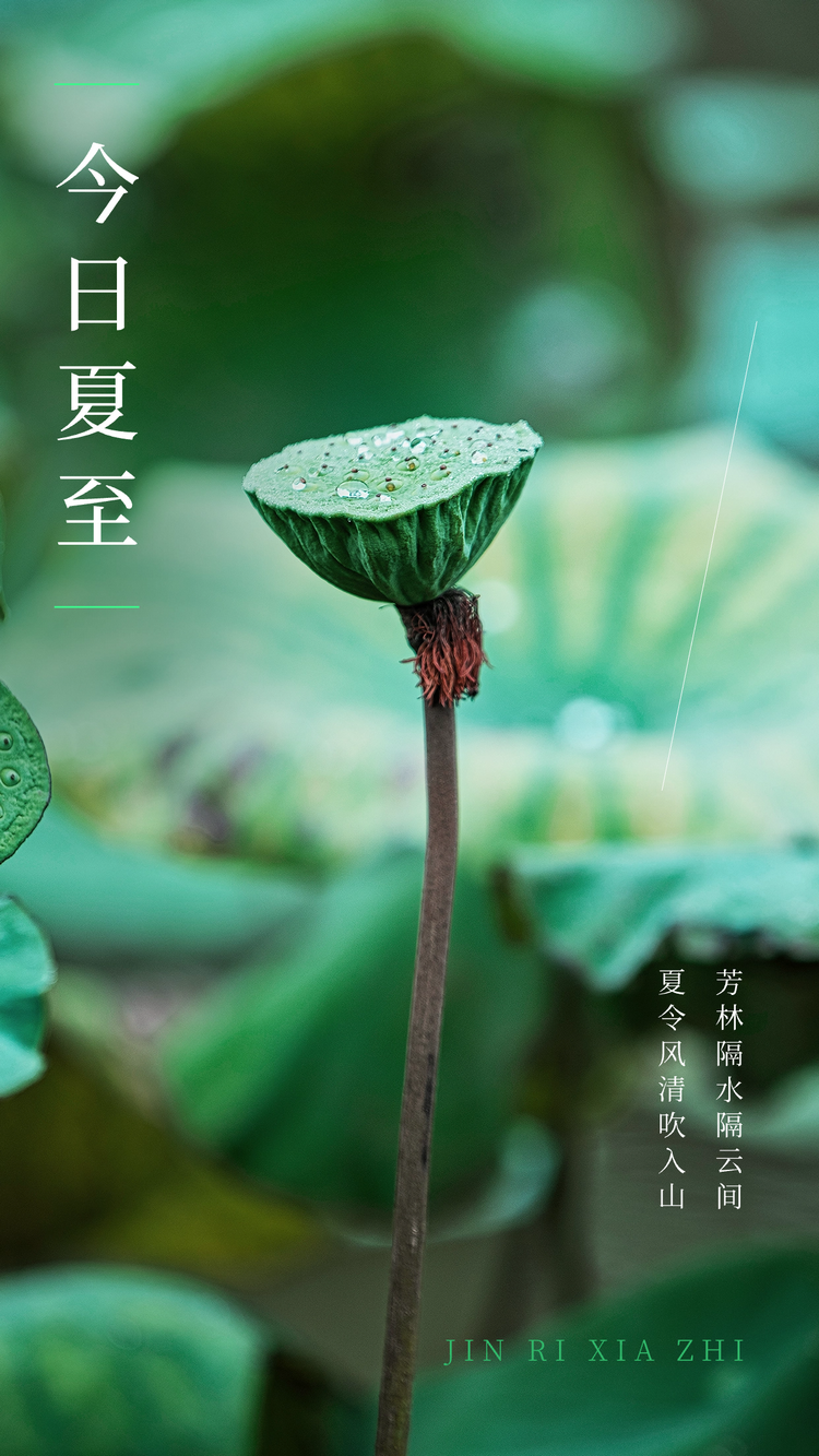微信图片_20240621105937.png
