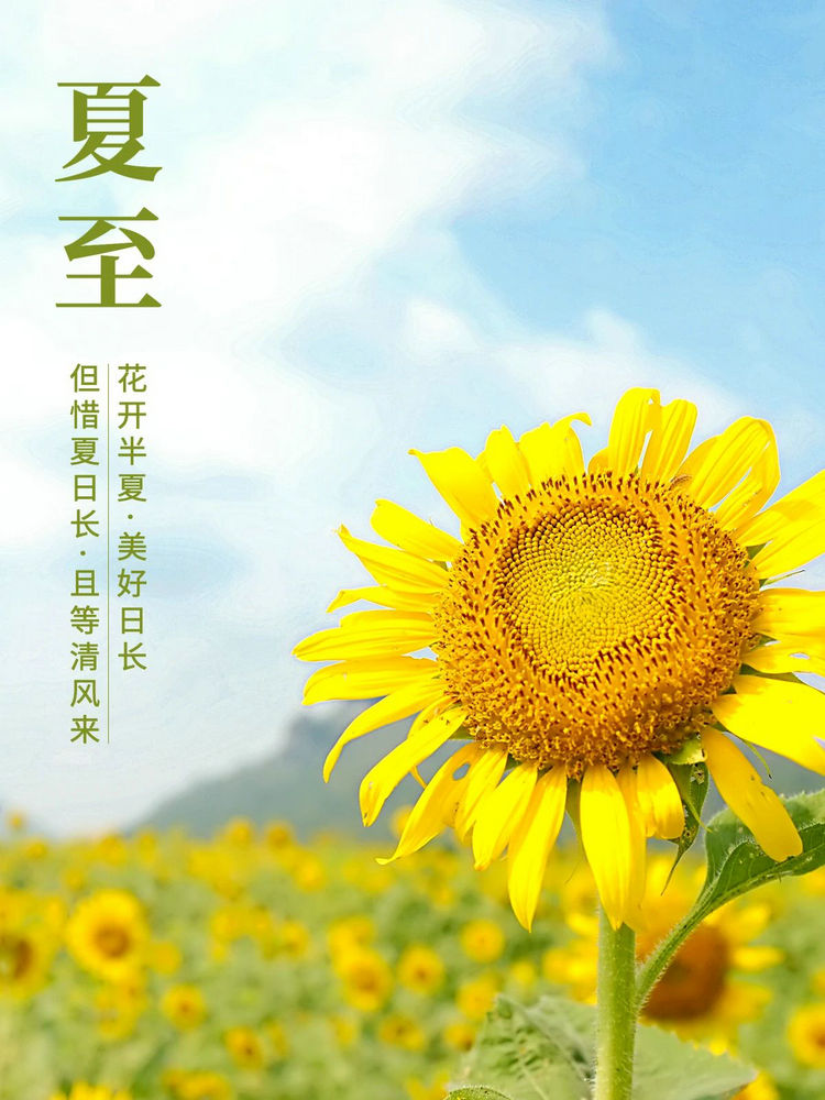 微信图片_20240621105930.jpg