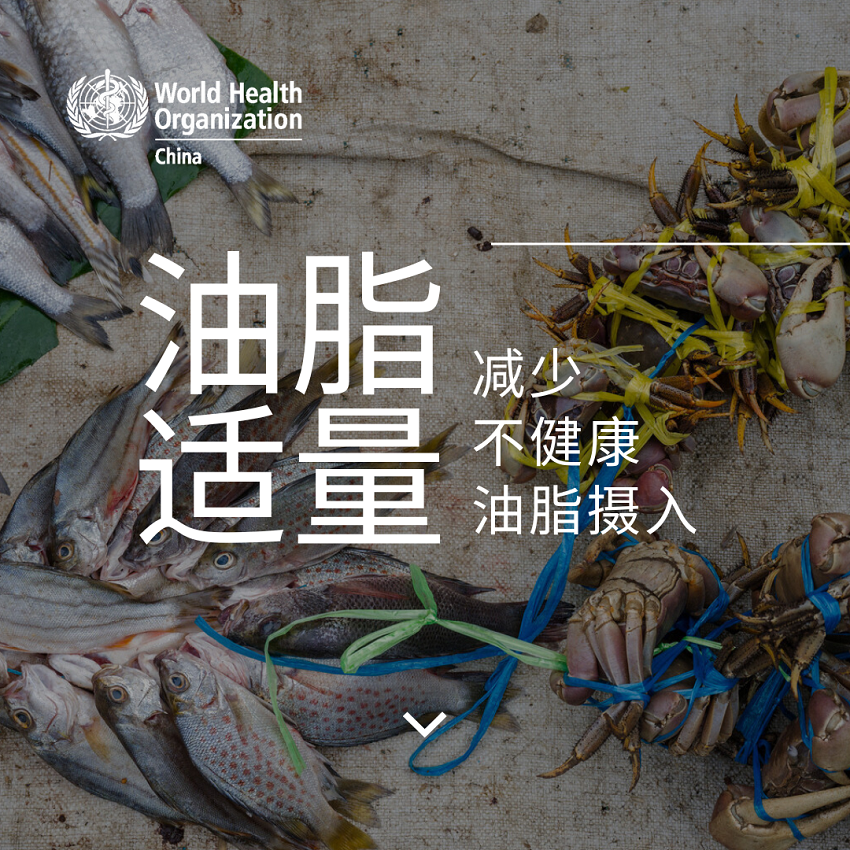微信图片_20250214111226.png