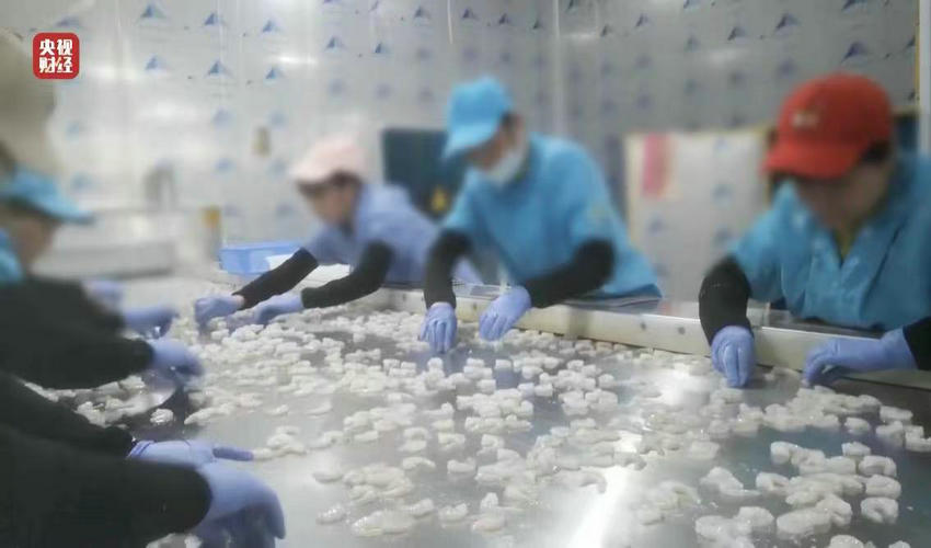 微信图片_20250316134240_副本.jpg